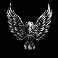 أحمد عبدالحكم