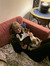 Josefine