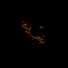 زياد الشافعي