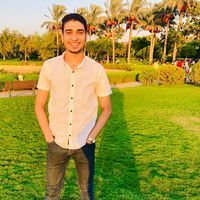 Alaa Mohamed