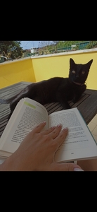 maribookz