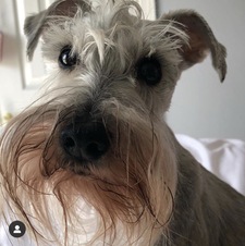 Parker