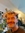 member photo member photo
