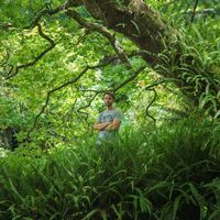 Денис Павлов