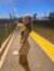 Magalie...