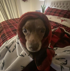 Sam