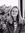 Olivia Galle