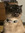 member photo member photo