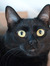 Libby W...