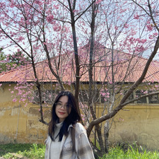 Lan Anh Nguyễn