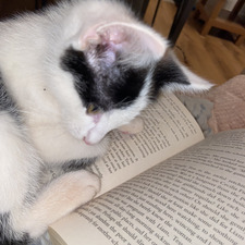 Jill ~ Always Reading