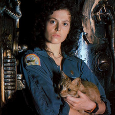 caitlln * ੈ✩‧₊˚