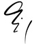Kelvin Tse