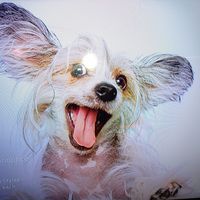 Mac Huffington