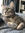 Megan McElroy | 2 comments