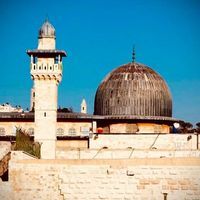 منية السلامي