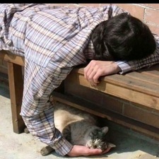 محمد بن كامل