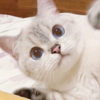 กุล ภรณ์