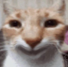 Pip