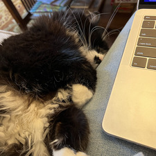 Gemma Sleeper Sheppard