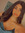 Liron