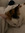 member photo member photo