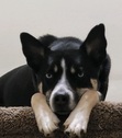 Jude