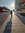 Angeliki (Aggela) Despotidou