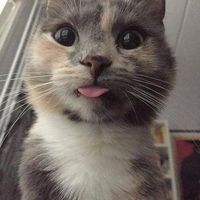 Виктор Рубцов