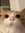 member photo member photo