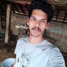 Hariharan  Palanivelu 