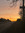 ammna_h13 | 52 comments
