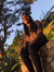 Nivedhitha