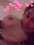 Beti 
