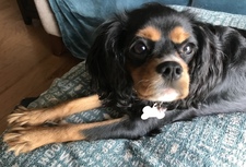 Jane