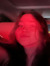 Abbie G...