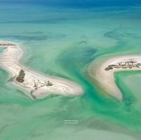 محمد الشريقي