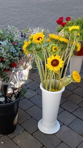 (｡⁠♡⁠‿⁠♡⁠｡⁠)