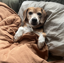 Sam