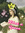 Erin D | 1 comments