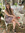 Hannah ...
