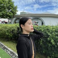 Chrysanthemum Mariah