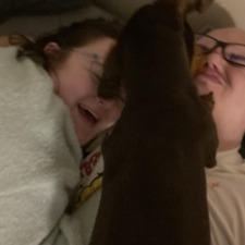 WingCommanderBogfield