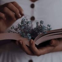 Noha Elashrey