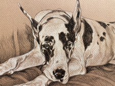 Carolyn