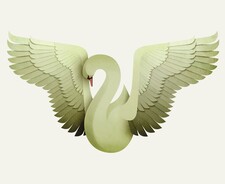 Swan Dancer