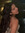 aastha
