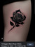 CC Rose