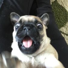 ❤️❤️Oleńka❤️❤️