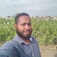 مجاهد صلاح